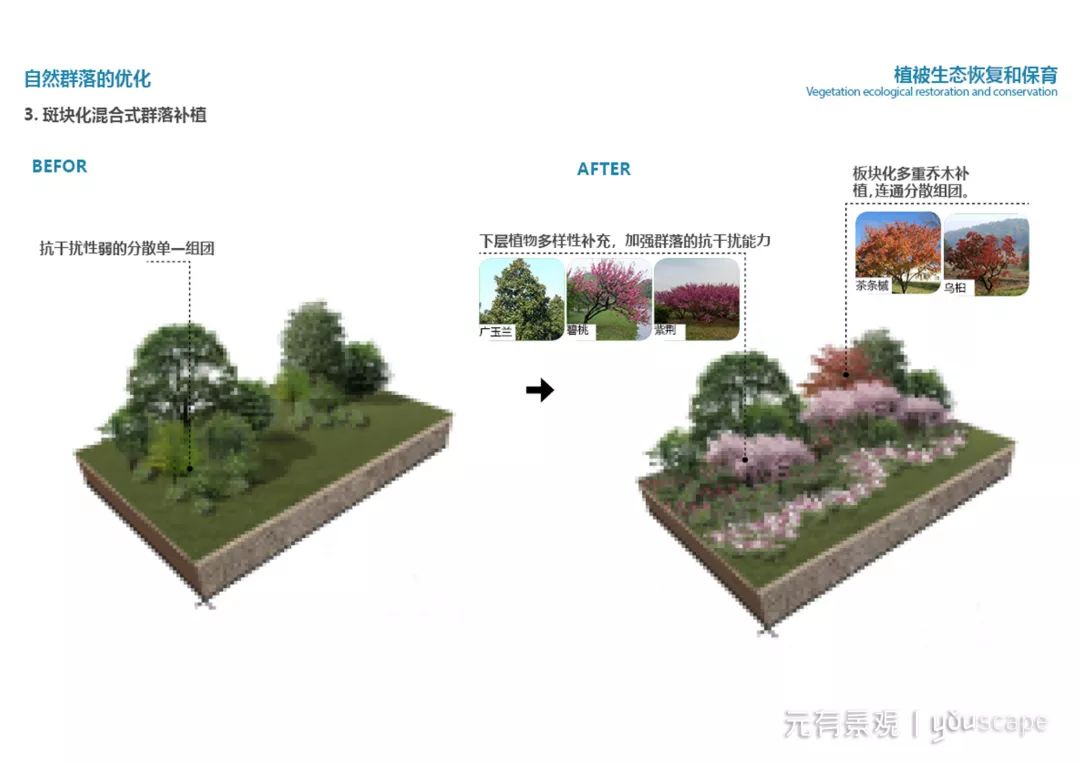 植物群落优化措施(左右滑动查看)