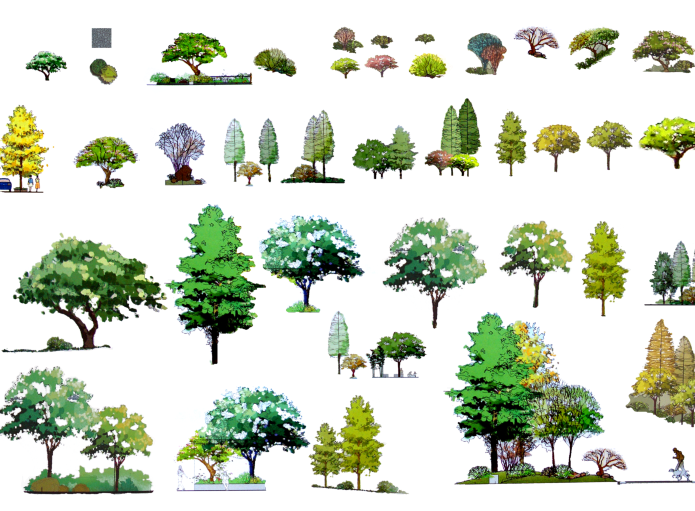 建筑景观常用树植物立面剖面彩图psd素材