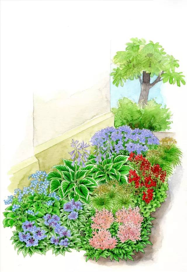 画笔下精致细腻的手绘花境-景观设计-筑龙园林景观论坛