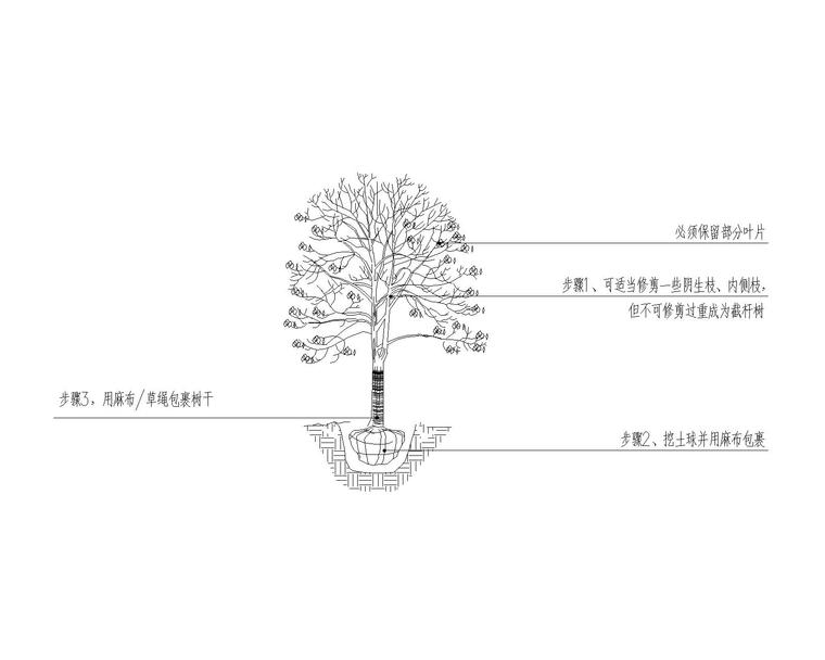 要求施工种植前必须下足基肥,弥补绿地土壤瘦瘠对植物生长的不良影响