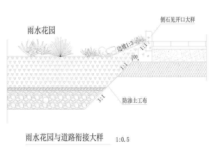 雨水花园与道路衔接大样.jpg