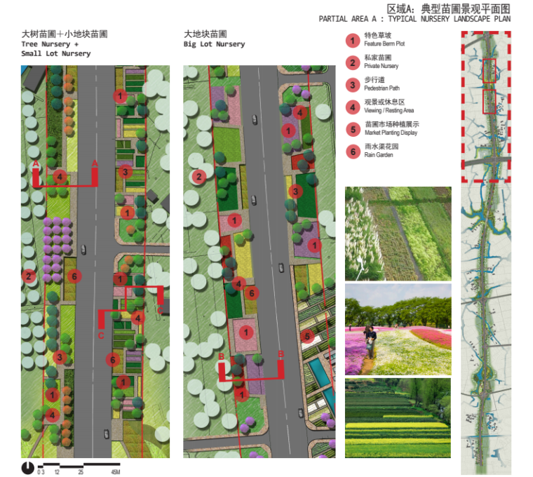 典型苗圃景观平面图.png