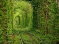 乌克兰爱的隧道 全球最美火车道