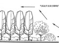园林绿化设计——防护绿地