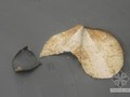 地下室顶板聚氨酯防水施工中遇到问题