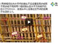 zhaojvn2008三大安全技术培训视频（脚手架、临电、塔吊）