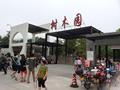 五一游览中山树木园