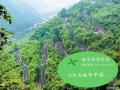 中国第一条生态道路在天津滨海建成