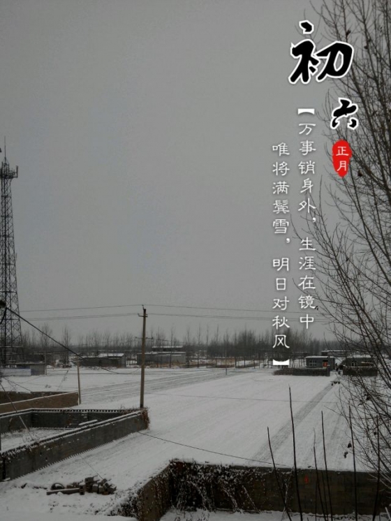 [分享]雪后麦地