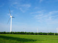五大发电2015年第一季度风电项目情况——开工、核准等