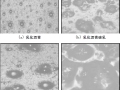 水泥乳化沥青胶浆及混合料性能研究