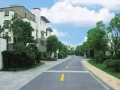 园林道路设计要点