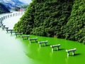 “水上漂”公路见过吗？穿梭于峡谷溪流间，想想都爽爆了！