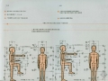 彩色人体工程学图解——设计师必备