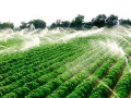 常见节水灌溉技术分析，值得收藏奥