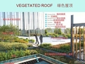 “海绵城市”做法图解