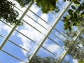 福斯特设计世界上最大单跨玻璃温室