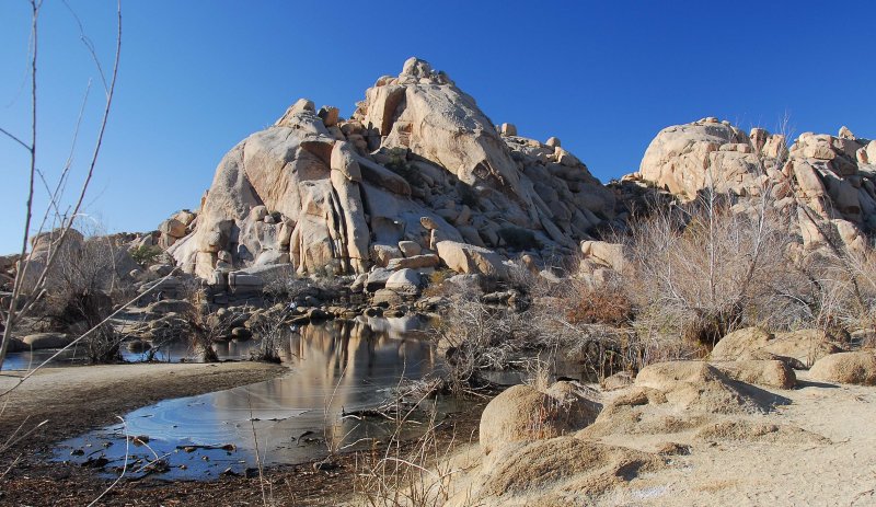 约束亚树国家公园(joshua tree national park)