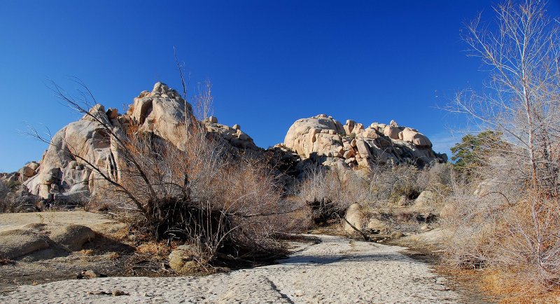 约束亚树国家公园(joshua tree national park)