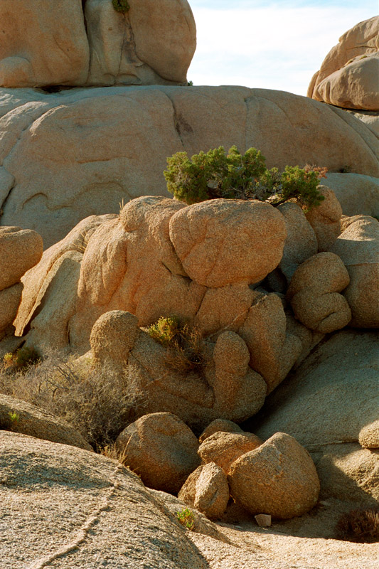 约束亚树国家公园(joshua tree national park)