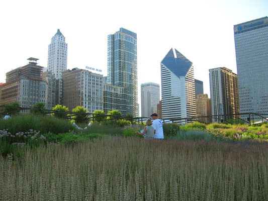 芝加哥千禧公园lurie花园(the lurie garden millennium park ch