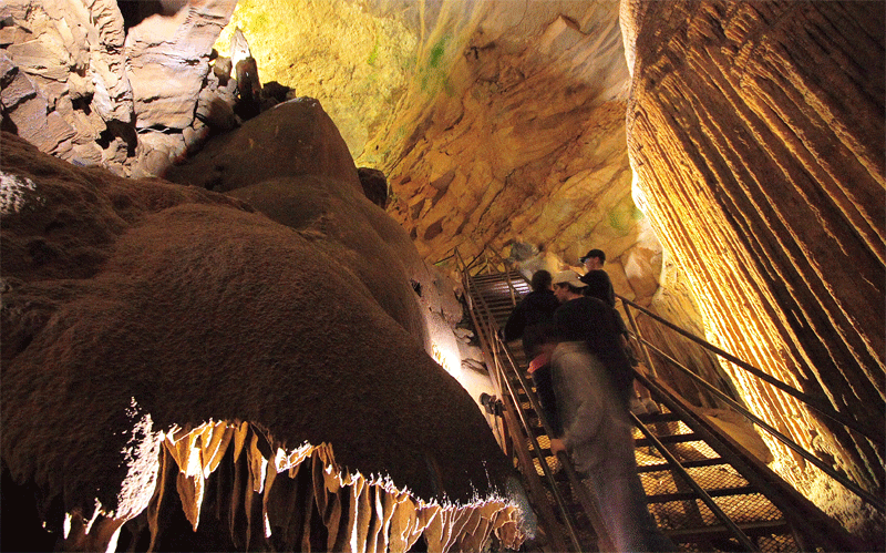 猛犸洞国家公园 (mammoth cave national park)