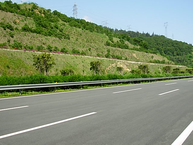 机场高速公路一期现有中分带景观绿化图片-道路案例-筑龙园林景观论坛