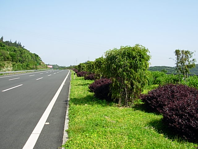 机场高速公路一期现有中分带景观绿化图片