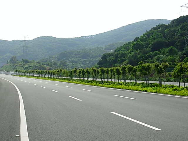 机场高速公路一期现有中分带景观绿化图片-道路案例-筑龙园林景观论坛