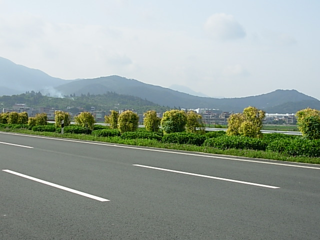 机场高速公路一期现有中分带景观绿化图片