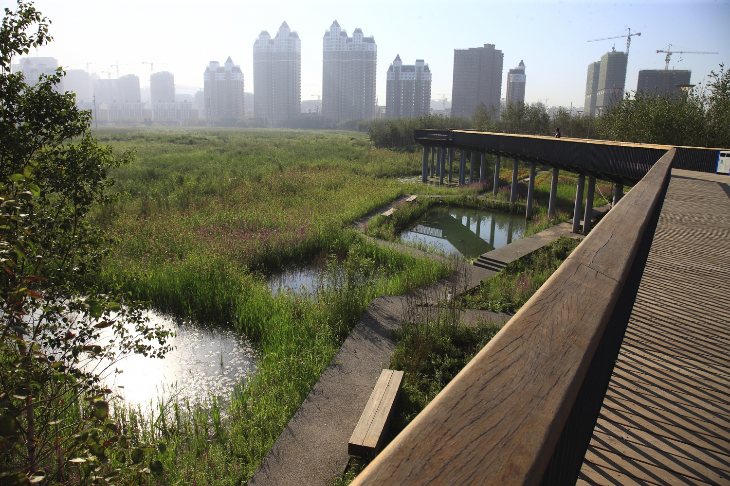 中国哈尔滨群力新区湿地公园