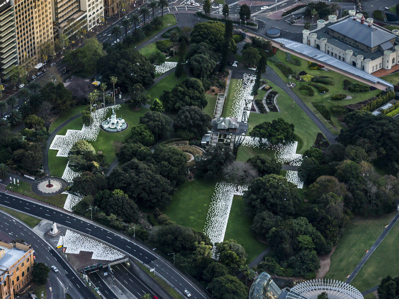 澳大利亚皇家植物园 景观植物案例 筑龙园林景观论坛