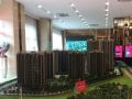 2017年深圳将继续向东看，惠州临深房产置业如下！
