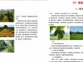 [四川]某现代农业产业园区概念规划设计PDF（78页）