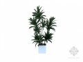绿色植物3D模型下载