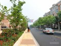 [湖南]城市支路标段施工投标技术方案