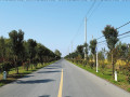农村公路改造工程可行性研究报告