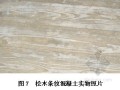 松木条纹装饰混凝土施工工法