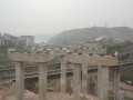 [重庆]桥梁工程跨铁路线防护棚施工专项方案