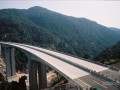 大跨度连续钢构桥梁施工组织设计全套资料432页（鲁班奖附工法质量汇报）