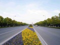市政道路改造工程可行性研究报告（共99页）