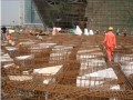 [广州]建筑业新技术应用示范工程验收资料（2010年）