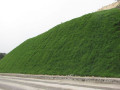 边坡绿化工程中常见技术问题与处理方法