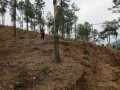 [江西]小型滑坡地质灾害治理初步设计方案