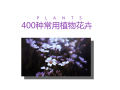 [景观植物]常见植物花卉400余种