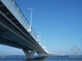 桥梁桥墩定型钢模板加工订货合同(2页)