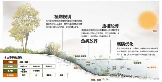 [河南]生态修复性城市河流景观概念规划设计方案(独家原创作品)