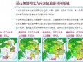 [南京]高端住宅项目分析及竞标策划报告