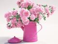 精美花卉植物 装饰景观花瓶