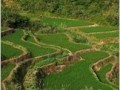 [黑龙江]高标准农田建设项目年度实施方案